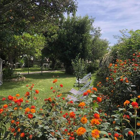 Villa Caterina B&B Procida Exterior foto